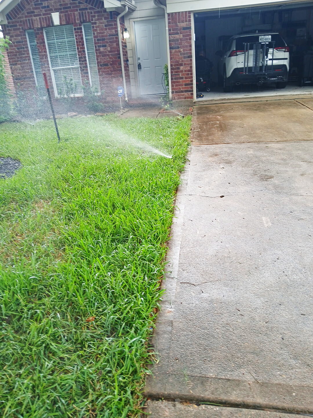 A sprinkler head spraying a clean fan across a green Katy lawn