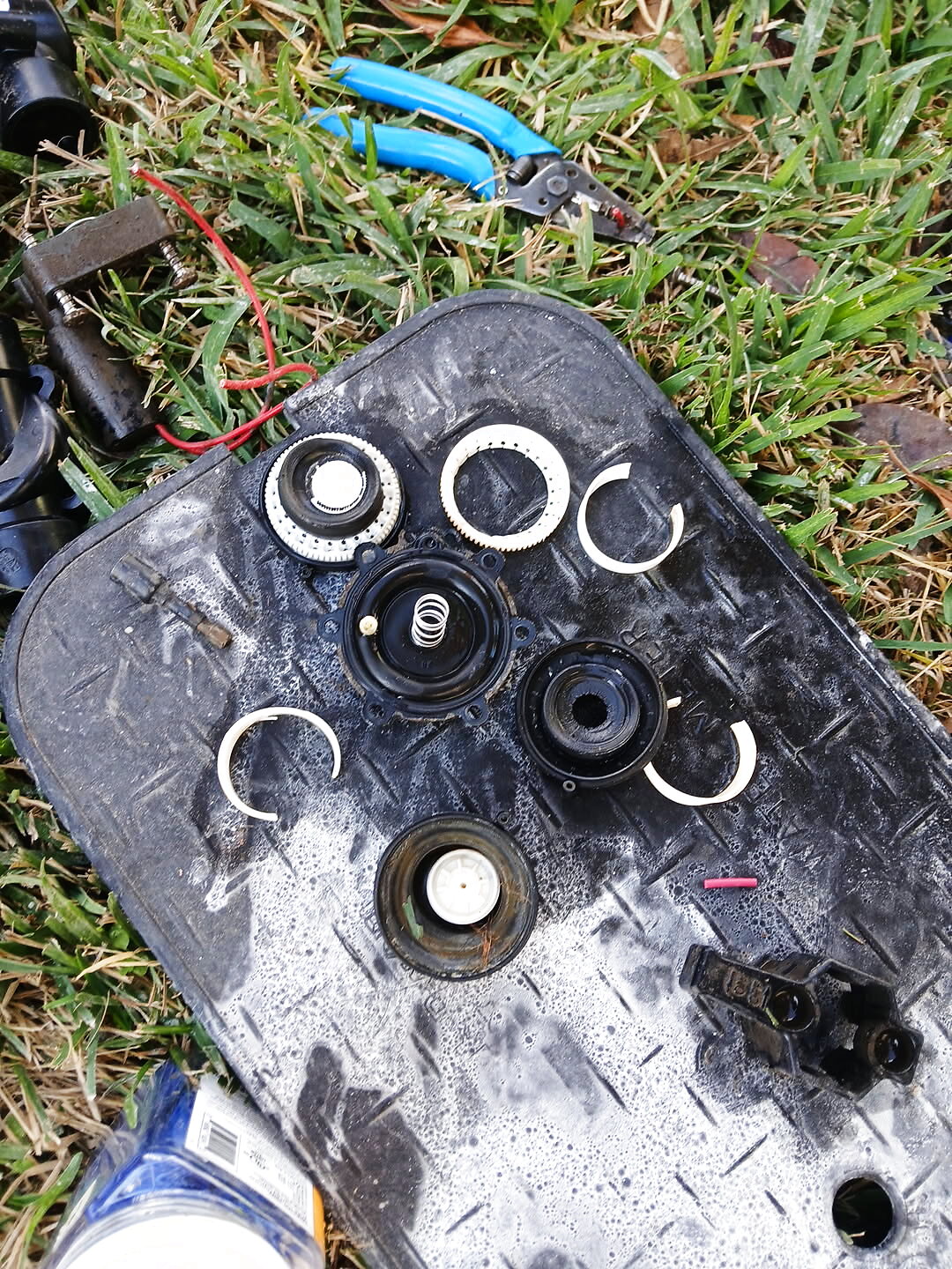 Sprinkler head repair and coverage by Elite Sprinkler Services in Katy, TX