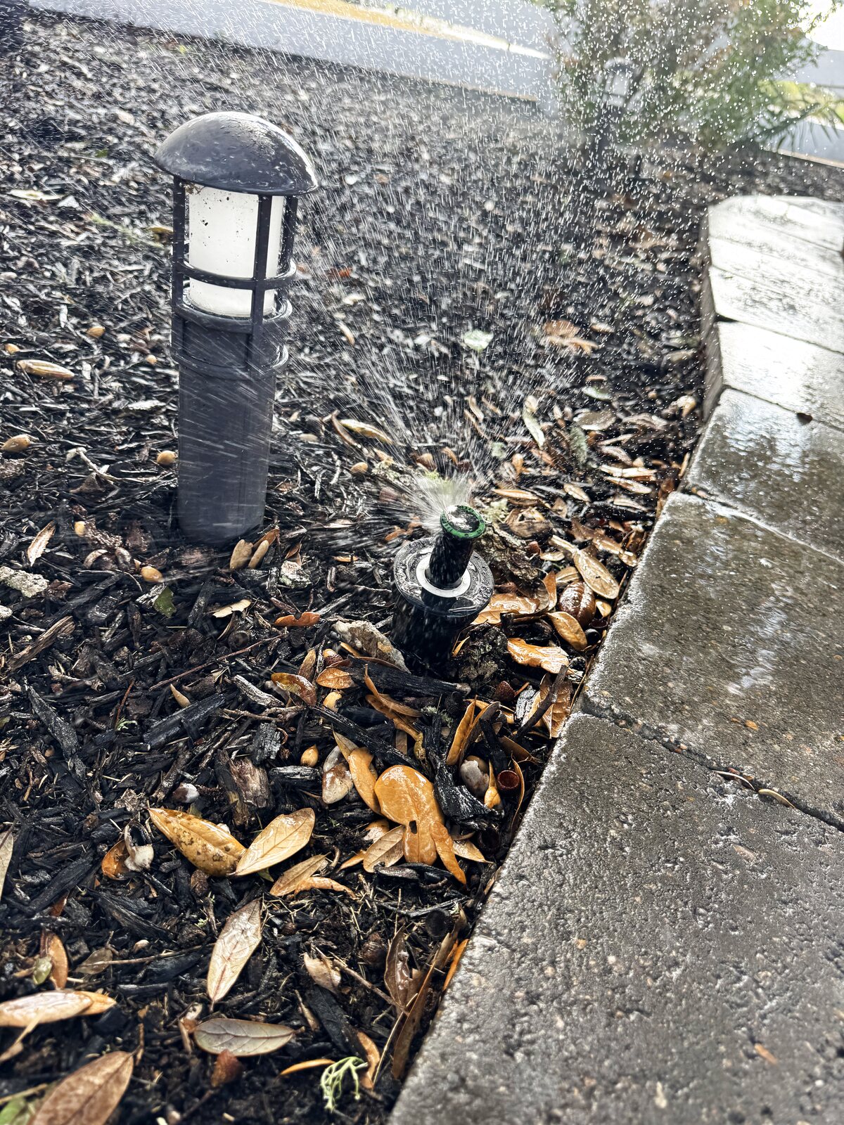 Sprinkler head repair and coverage by Elite Sprinkler Services in Katy, TX