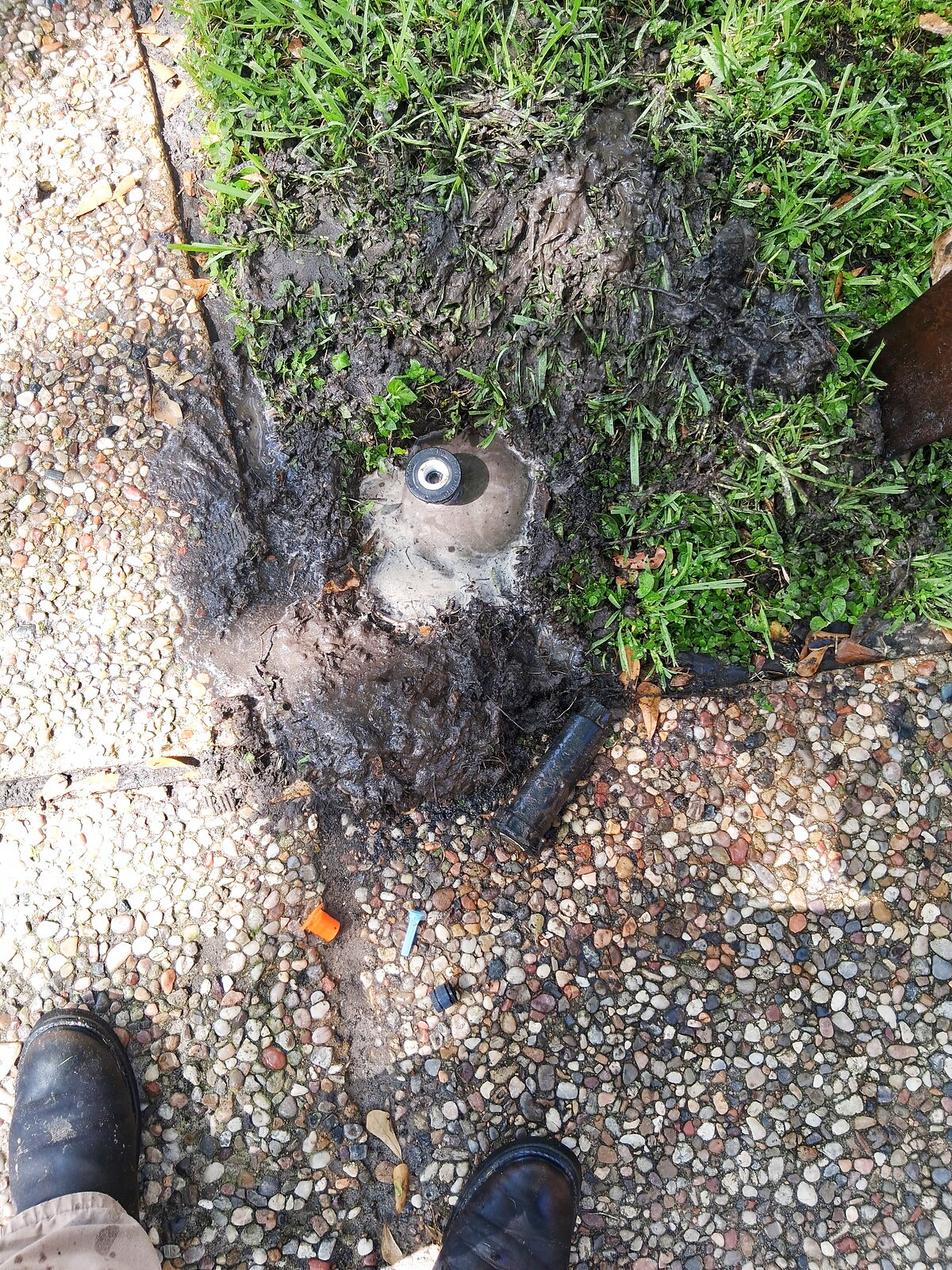 Sprinkler head repair and coverage by Elite Sprinkler Services in Katy, TX