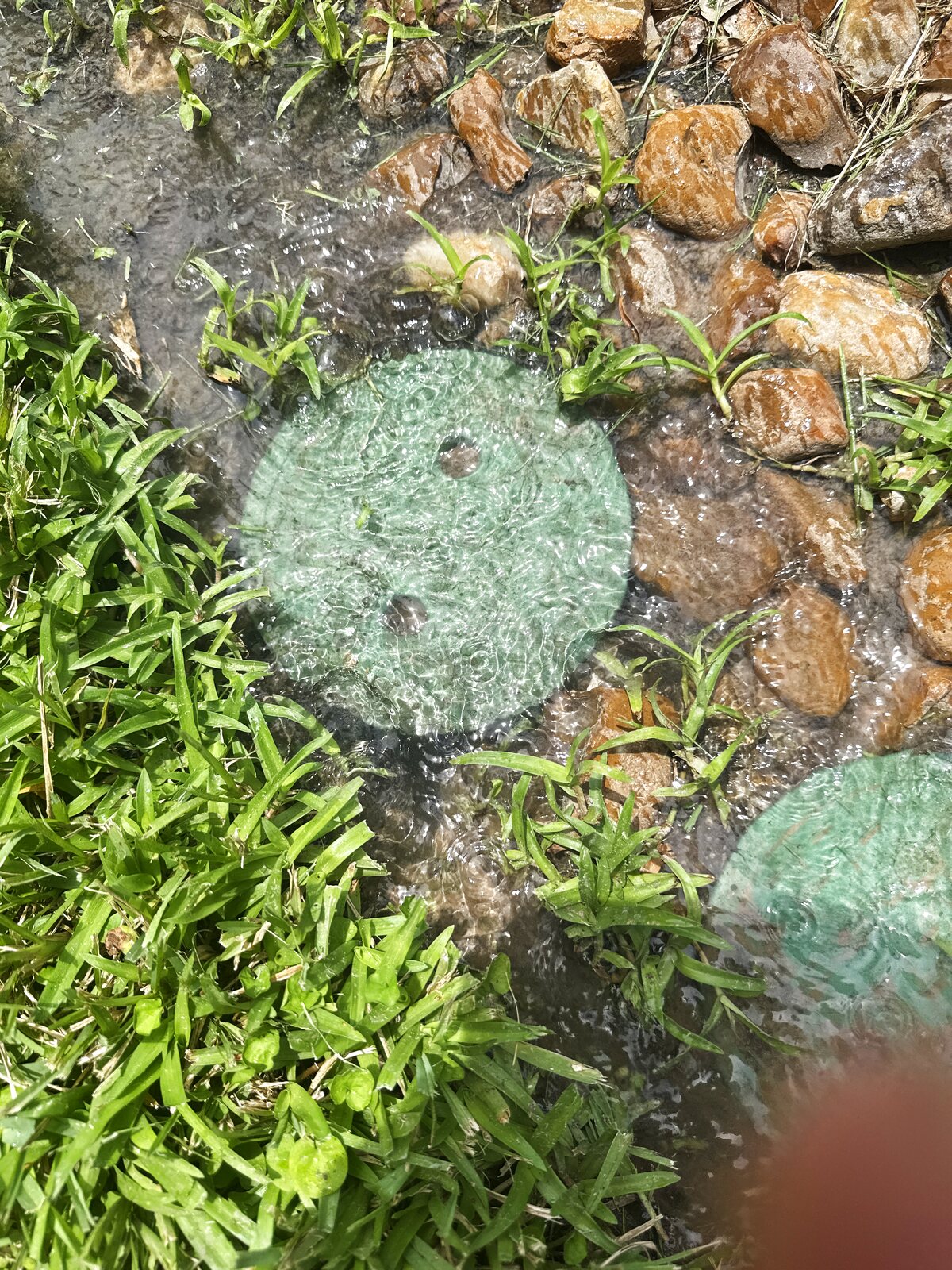 Sprinkler head repair and coverage by Elite Sprinkler Services in Katy, TX
