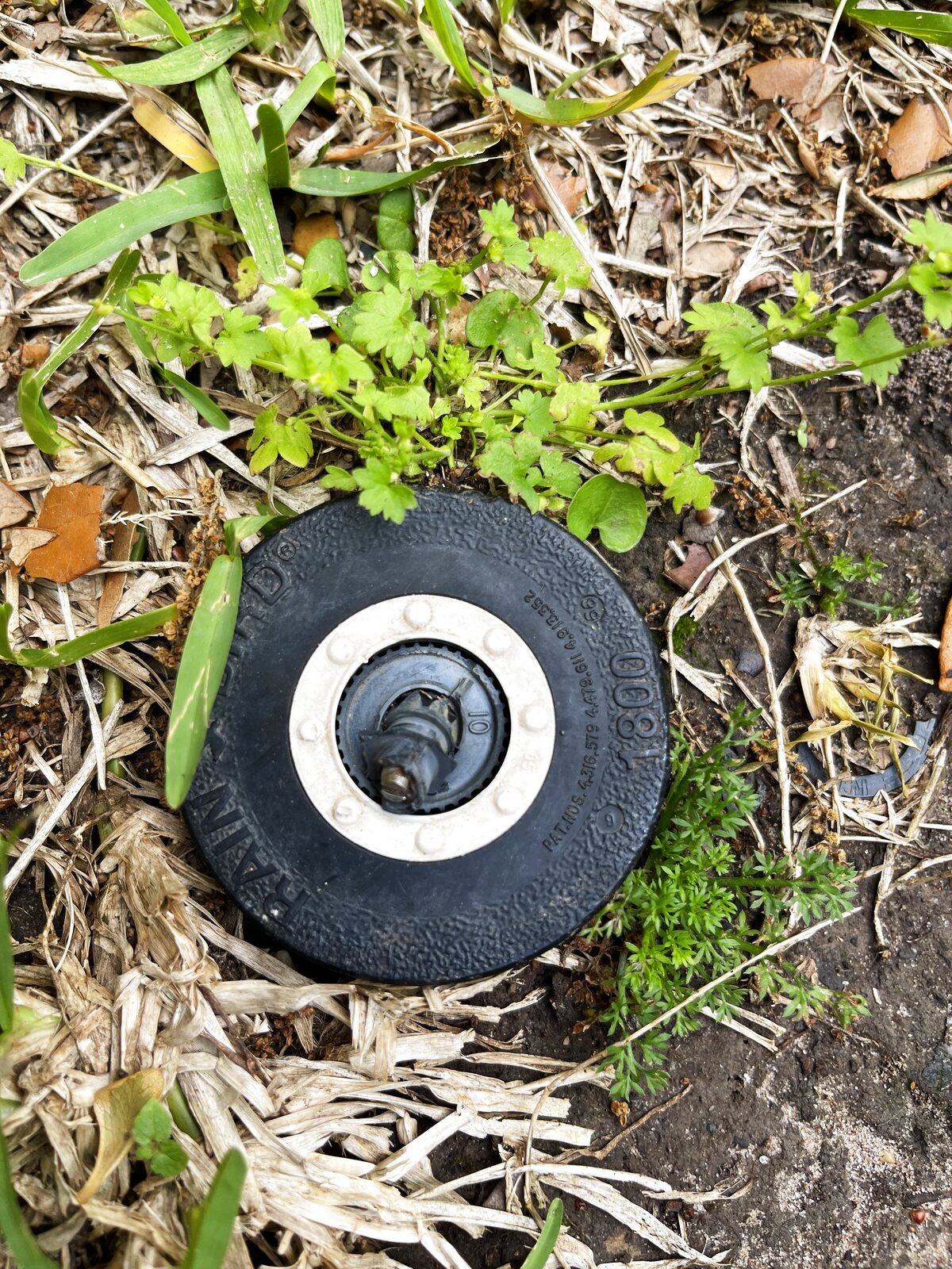 Close-up of a Rain Bird rotor head in a Katy landscape bed — the top screw is where you set the arc