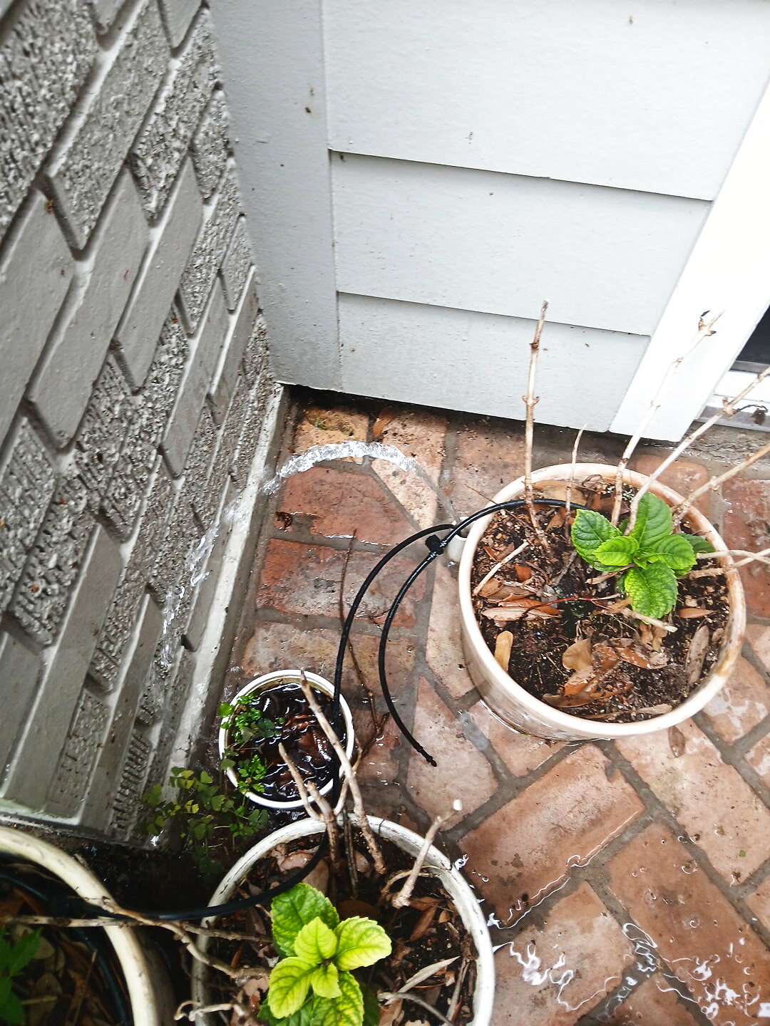 Irrigation valve and leak repair by Elite Sprinkler Services in Katy, TX