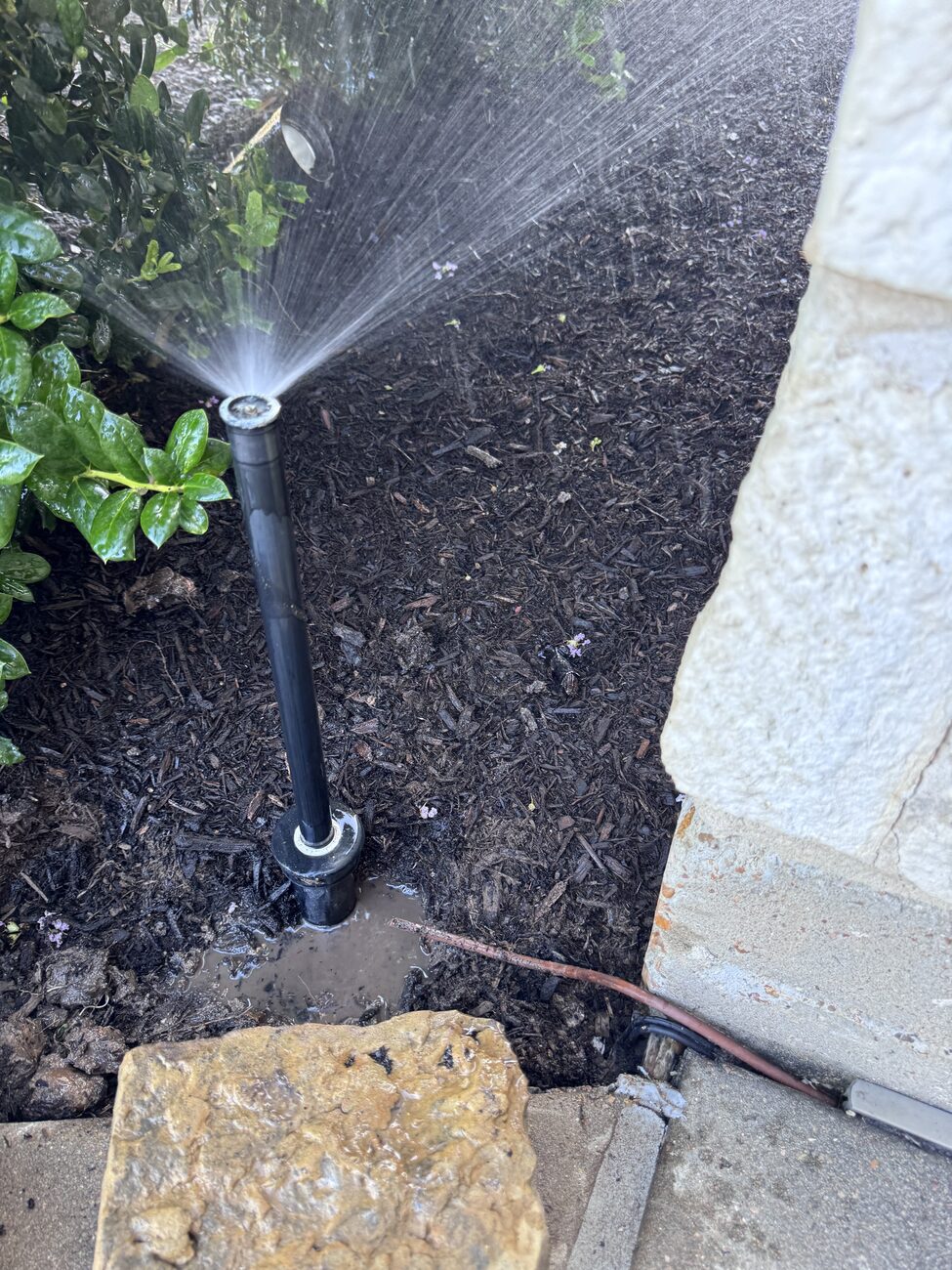 A sprinkler head running after a Katy repair