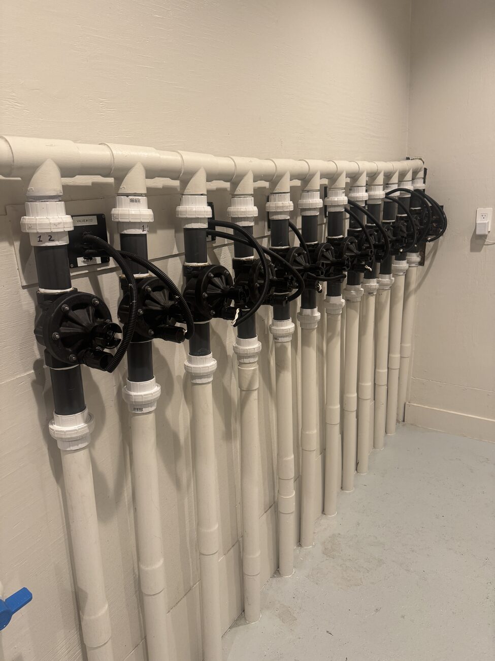 A row of new sprinkler heads ready to install